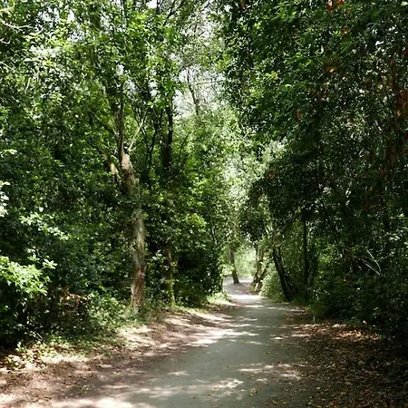 Villa Située Entre Et Forêt Grand-Village-Plage
